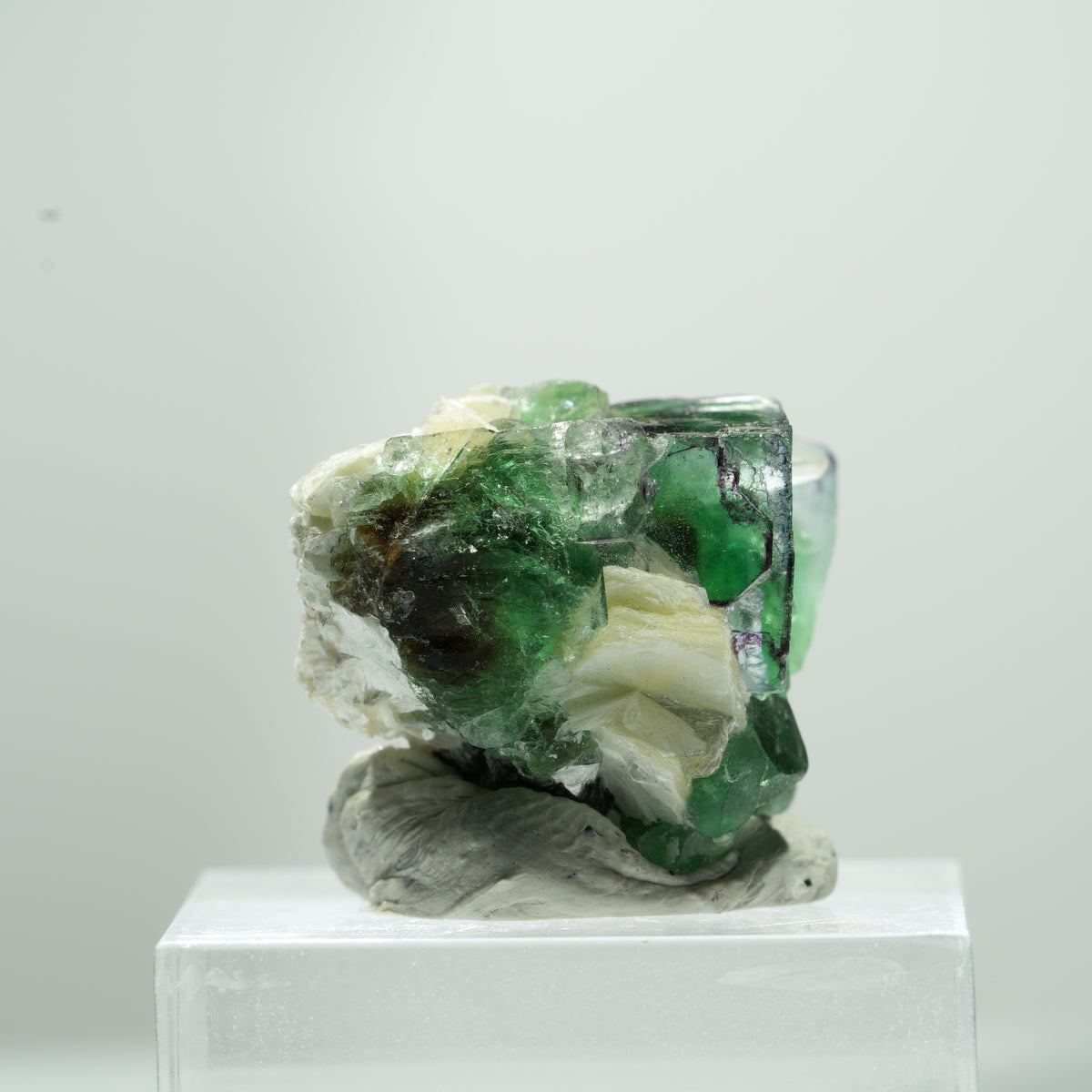 Fluorite fantôme rare en cube, sur muscovite Erongo, Namibie 11*9*9mm #13488
