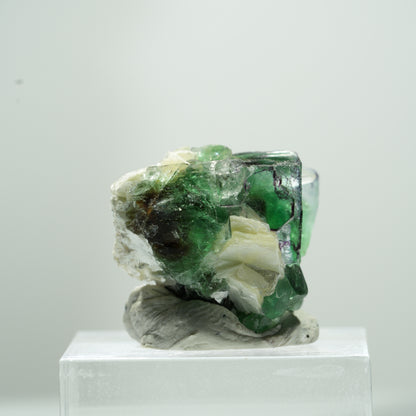 Fluorite fantôme rare en cube, sur muscovite Erongo, Namibie 11*9*9mm #13488