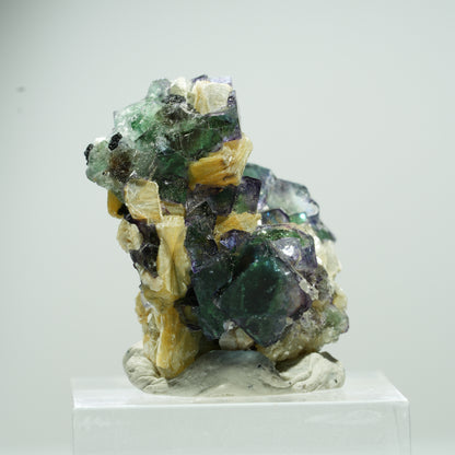 Seltene Phantom Fluorit Würfel, Muskovit Stufe Erongo, Namibia 14*13*10mm #13489