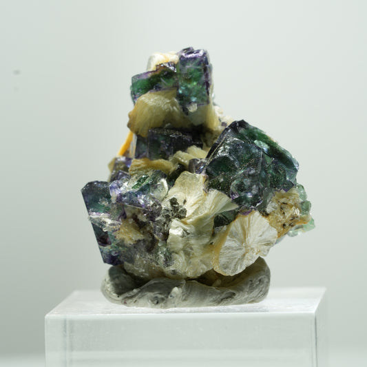 Seltene Phantom Fluorit Würfel, Muskovit Stufe Erongo, Namibia 14*13*10mm #13489
