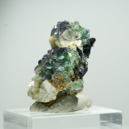 Seltene Phantom Fluorit Würfel, Muskovit Stufe Erongo, Namibia 14*13*10mm #13489