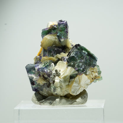 Seltene Phantom Fluorit Würfel, Muskovit Stufe Erongo, Namibia 14*13*10mm #13489