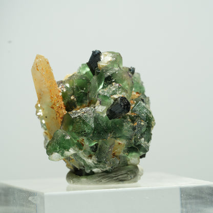 Seltene Phantom Fluorit, Muskovit, Rauchquarz Stufe Erongo, Namibia 11*10*9mm #13490