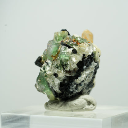 Seltene Phantom Fluorit, Muskovit, Rauchquarz Stufe Erongo, Namibia 11*10*9mm #13490