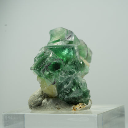 Seltene Phantom Fluorit Würfel, Muskovit Stufe Erongo, Namibia 35*10*8mm #13493