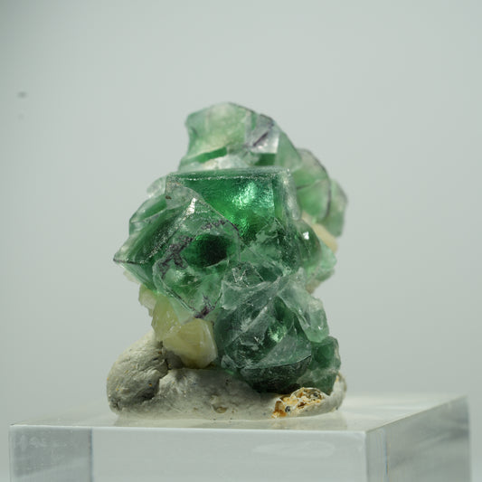 Seltene Phantom Fluorit Würfel, Muskovit Stufe Erongo, Namibia 35*10*8mm #13493