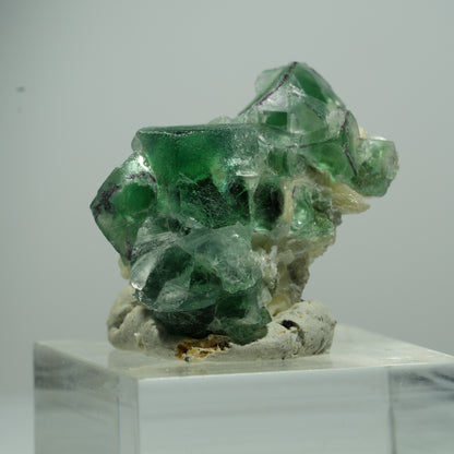Seltene Phantom Fluorit Würfel, Muskovit Stufe Erongo, Namibia 35*10*8mm #13493
