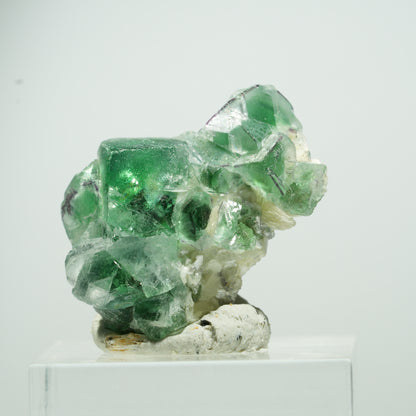 Seltene Phantom Fluorit Würfel, Muskovit Stufe Erongo, Namibia 35*10*8mm #13493