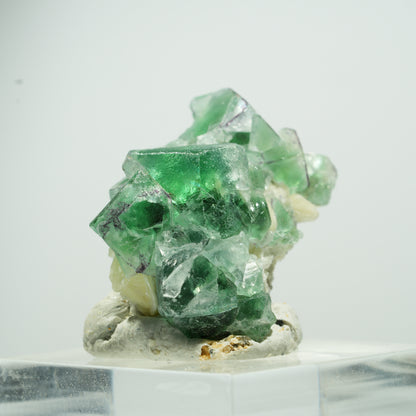 Seltene Phantom Fluorit Würfel, Muskovit Stufe Erongo, Namibia 35*10*8mm #13493