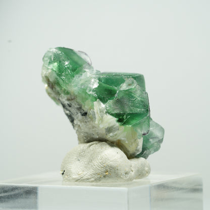 Seltene Phantom Fluorit Würfel, Muskovit Stufe Erongo, Namibia 35*10*8mm #13493