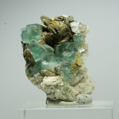 Phantom Fluorit Würfel, Orthoklas, Muskovit Stufe Erongo, Namibia 16*13*8mm #13495