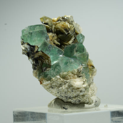 Phantom Fluorit Würfel, Orthoklas, Muskovit Stufe Erongo, Namibia 16*13*8mm #13495