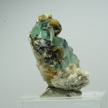 Phantom Fluorit Würfel, Orthoklas, Muskovit Stufe Erongo, Namibia 16*13*8mm #13495