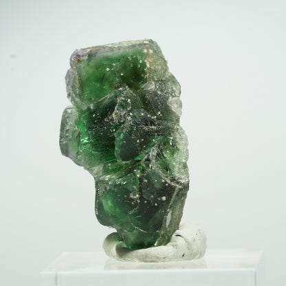 Seltene Phantom Fluorit Würfel, Muskovit Stufe Erongo, Namibia 16*9*8mm #13497