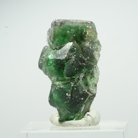 Seltene Phantom Fluorit Würfel, Muskovit Stufe Erongo, Namibia 16*9*8mm #13497