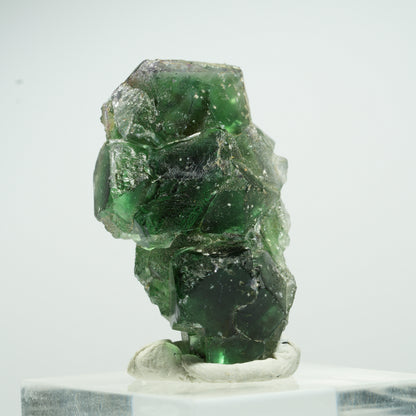 Seltene Phantom Fluorit Würfel, Muskovit Stufe Erongo, Namibia 16*9*8mm #13497