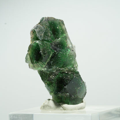 Seltene Phantom Fluorit Würfel, Muskovit Stufe Erongo, Namibia 16*9*8mm #13497