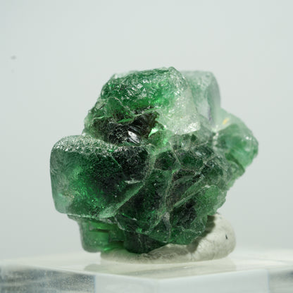 Seltene Phantom Fluorit Würfel, Muskovit Stufe Erongo, Namibia 12*10*8mm #13498