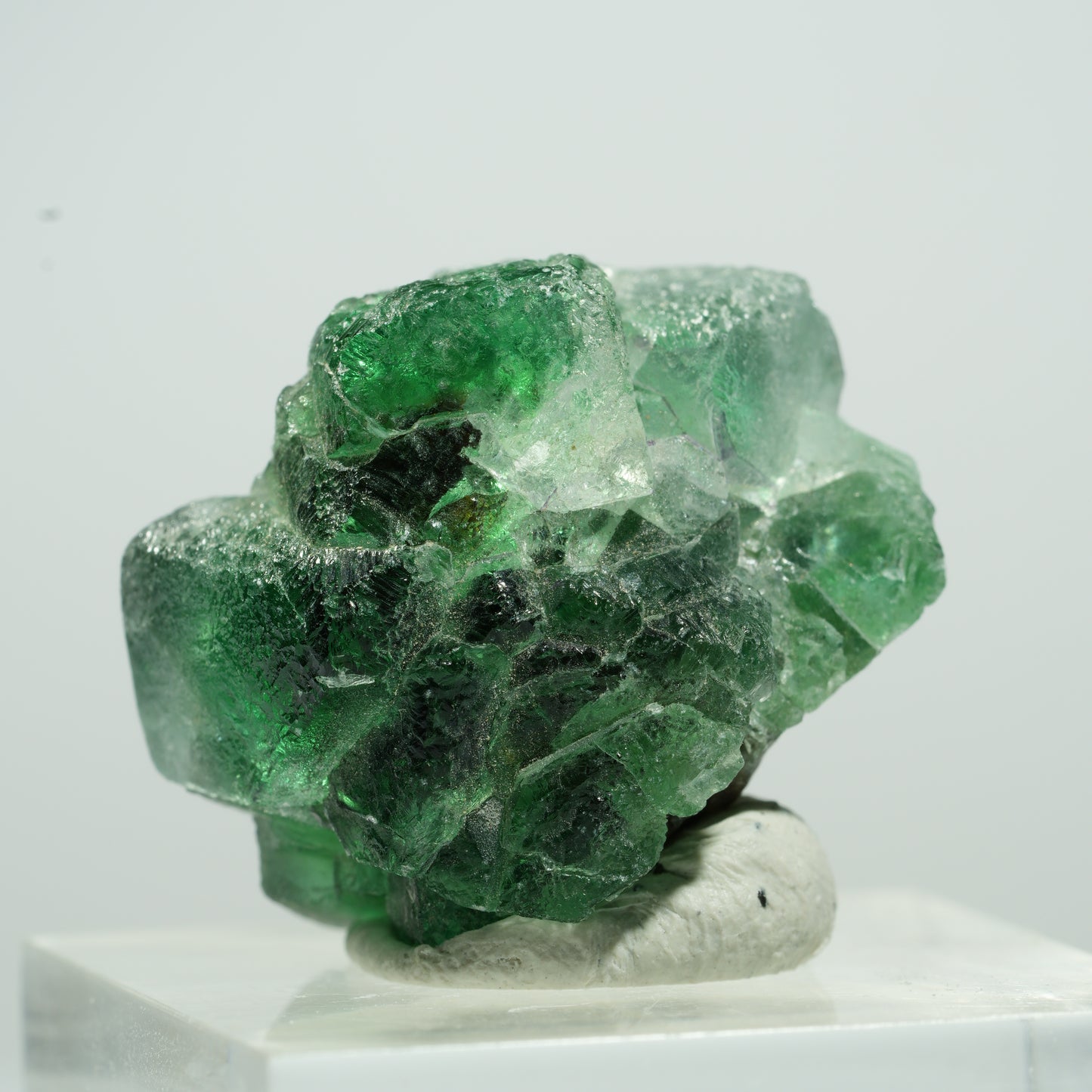 Seltene Phantom Fluorit Würfel, Muskovit Stufe Erongo, Namibia 12*10*8mm #13498