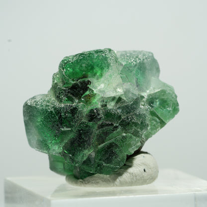 Seltene Phantom Fluorit Würfel, Muskovit Stufe Erongo, Namibia 12*10*8mm #13498