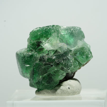 Seltene Phantom Fluorit Würfel, Muskovit Stufe Erongo, Namibia 12*10*8mm #13498