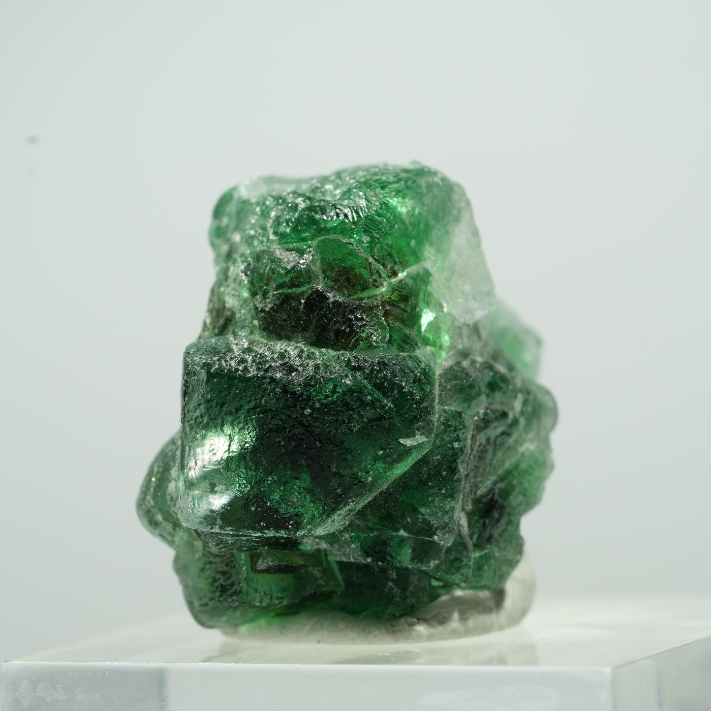 Seltene Phantom Fluorit Würfel, Muskovit Stufe Erongo, Namibia 12*10*8mm #13498