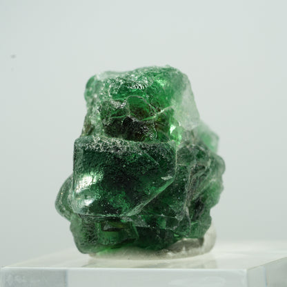 Seltene Phantom Fluorit Würfel, Muskovit Stufe Erongo, Namibia 12*10*8mm #13498