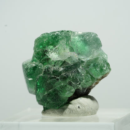 Seltene Phantom Fluorit Würfel, Muskovit Stufe Erongo, Namibia 12*10*8mm #13498
