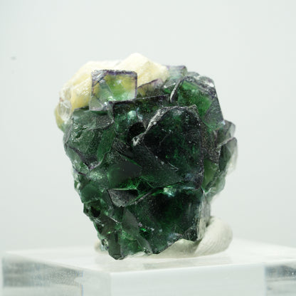 Seltene Phantom Fluorit Würfel, Muskovit Stufe Erongo, Namibia 14*12*9mm #13499