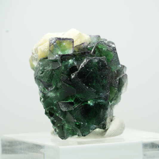 Seltene Phantom Fluorit Würfel, Muskovit Stufe Erongo, Namibia 14*12*9mm #13499