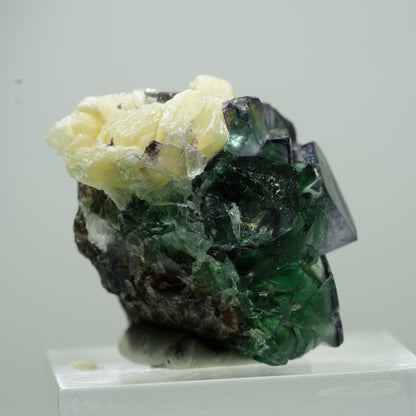 Seltene Phantom Fluorit Würfel, Muskovit Stufe Erongo, Namibia 14*12*9mm #13499