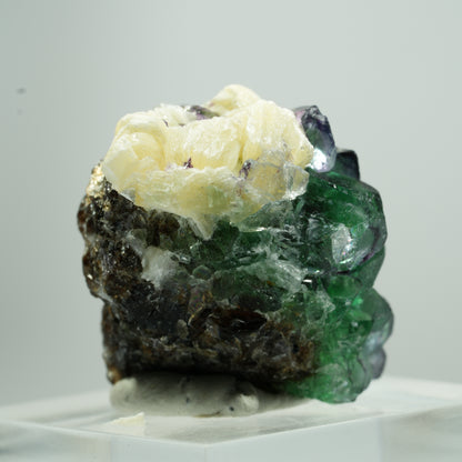 Seltene Phantom Fluorit Würfel, Muskovit Stufe Erongo, Namibia 14*12*9mm #13499