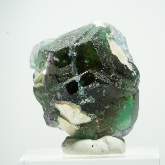 Phantom Fluorit hexagonal, Schörl Turmalin, Muskovit Erongo, Namibia 14*11*9mm #13502