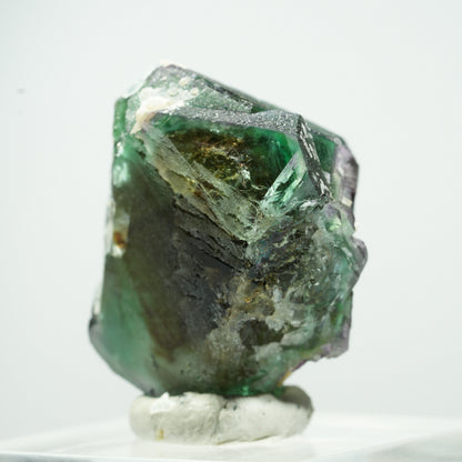 Phantom Fluorit hexagonal, Schörl Turmalin, Muskovit Erongo, Namibia 14*11*9mm #13502