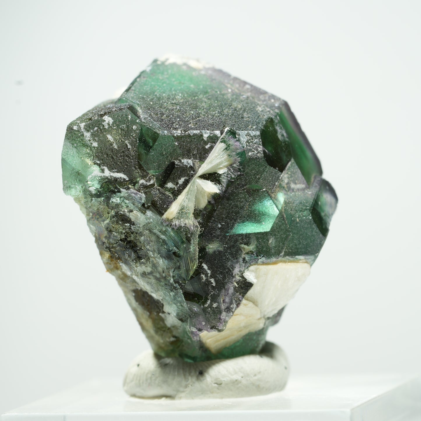 Phantom Fluorit hexagonal, Schörl Turmalin, Muskovit Erongo, Namibia 14*11*9mm #13502