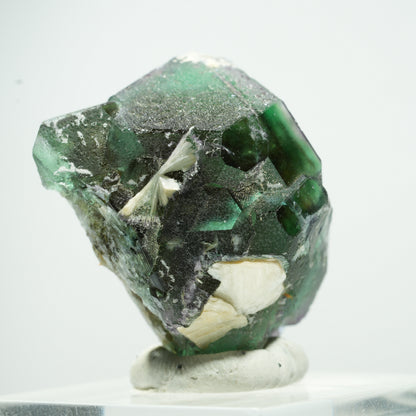 Phantom Fluorit hexagonal, Schörl Turmalin, Muskovit Erongo, Namibia 14*11*9mm #13502
