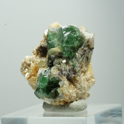 Seltene Phantom Fluorit Würfel, Muskovit Stufe Erongo, Namibia 13*12*10mm #13503