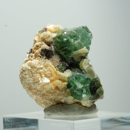 Seltene Phantom Fluorit Würfel, Muskovit Stufe Erongo, Namibia 13*12*10mm #13503