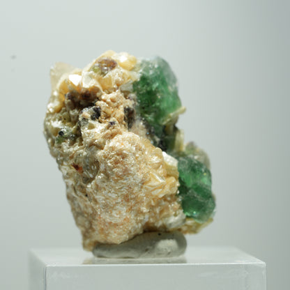 Seltene Phantom Fluorit Würfel, Muskovit Stufe Erongo, Namibia 13*12*10mm #13503