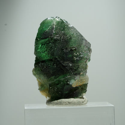 Phantom Fluorit hexagonal, Muskovit Stufe Erongo, Namibia 15*10*8mm #13504
