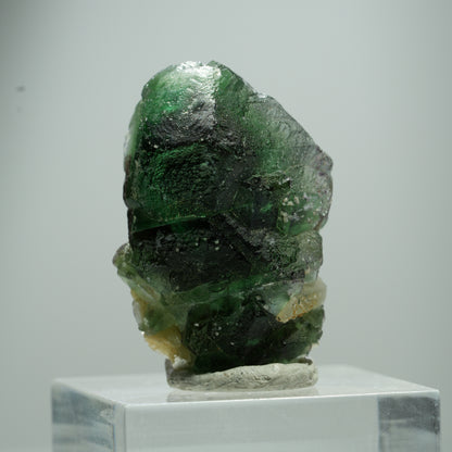 Phantom Fluorit hexagonal, Muskovit Stufe Erongo, Namibia 15*10*8mm #13504