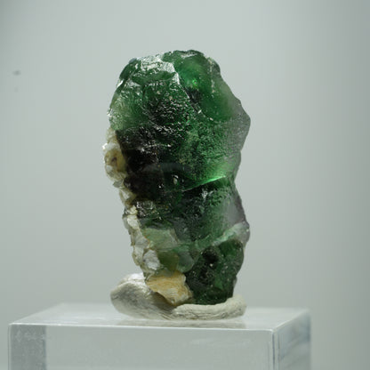Phantom Fluorit hexagonal, Muskovit Stufe Erongo, Namibia 15*10*8mm #13504