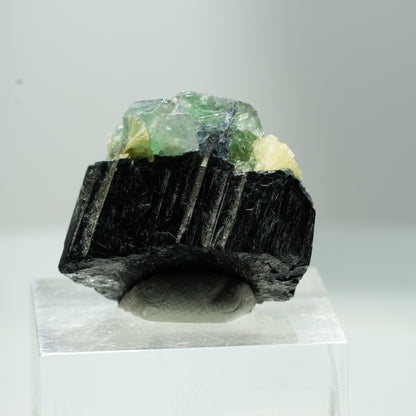 Phantom Fluorit Würfel, Schörl Turmalin, Muskovit Erongo, Namibia 12*10*8mm #13505