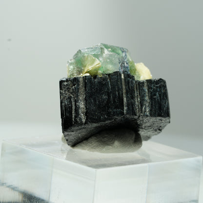 Phantom Fluorit Würfel, Schörl Turmalin, Muskovit Erongo, Namibia 12*10*8mm #13505