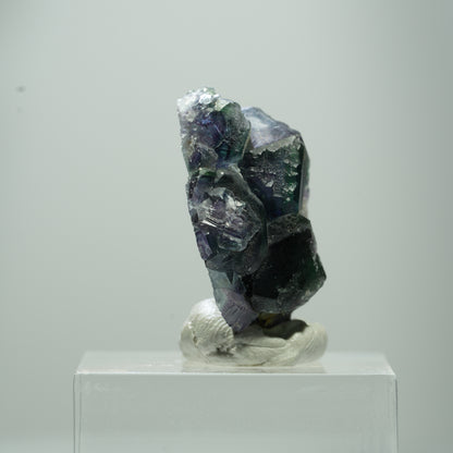 Seltene Phantom Fluorit Würfel Stufe, grün lila Okorusu, Namibia 13*10*5mm #13506