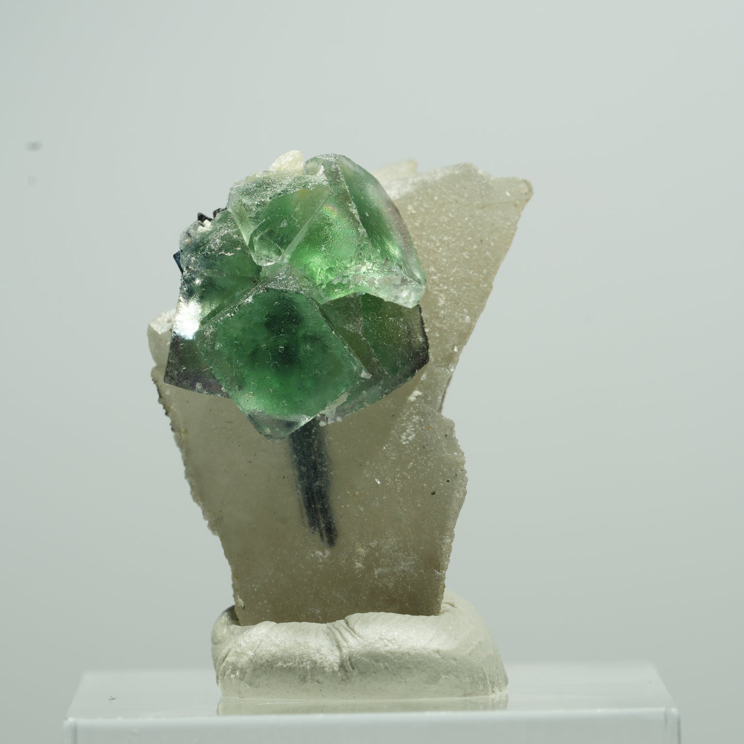 Phantom Fluorit, Schörl Turmalin, Muskovit, Rauchquarz Stufe Erongo, Namibia 14*10*6mm #13508