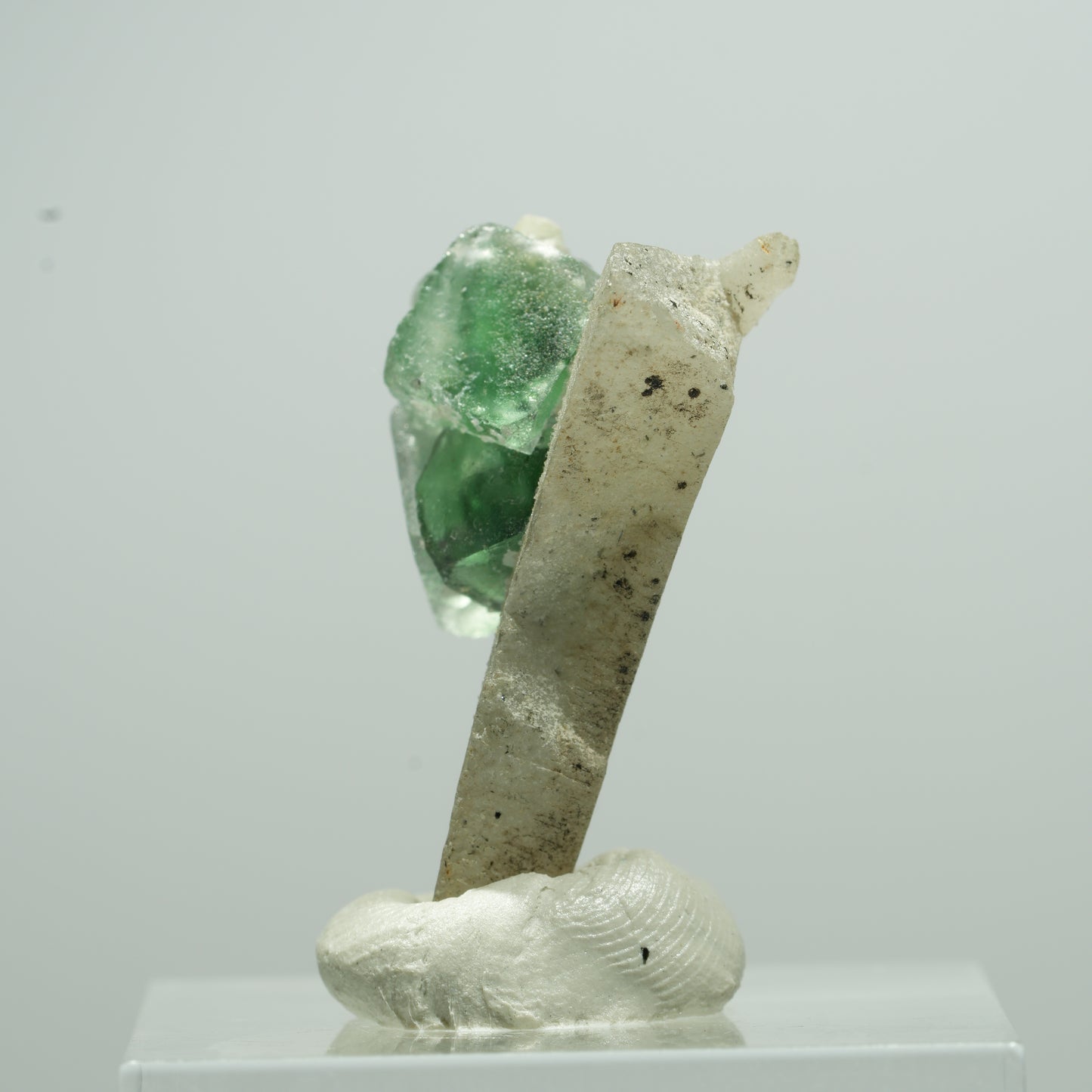 Phantom Fluorit, Schörl Turmalin, Muskovit, Rauchquarz Stufe Erongo, Namibia 14*10*6mm #13508