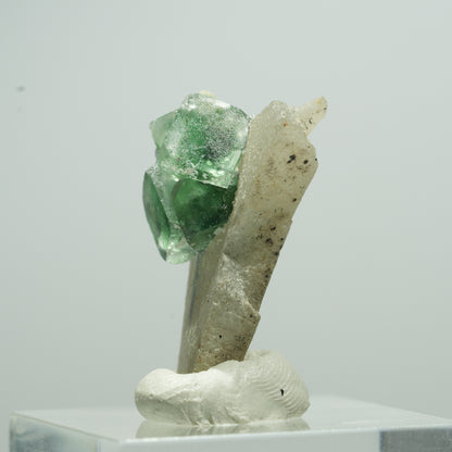 Phantom Fluorit, Schörl Turmalin, Muskovit, Rauchquarz Stufe Erongo, Namibia 14*10*6mm #13508