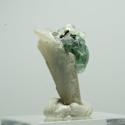 Phantom Fluorit, Schörl Turmalin, Muskovit, Rauchquarz Stufe Erongo, Namibia 14*10*6mm #13508