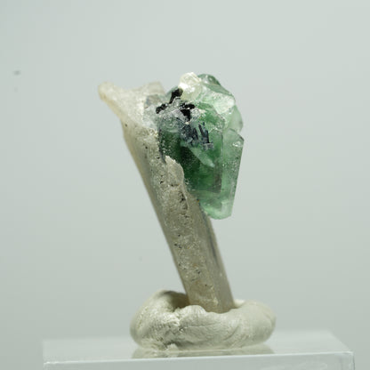 Phantom Fluorit, Schörl Turmalin, Muskovit, Rauchquarz Stufe Erongo, Namibia 14*10*6mm #13508